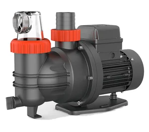 Бассейновый насос XKP300-2Т